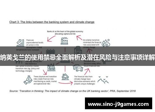 纳英戈兰的使用禁忌全面解析及潜在风险与注意事项详解 纳英戈兰的使用禁忌全面解析及潜在风险与注意事项详解