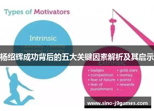 杨绍辉成功背后的五大关键因素解析及其启示