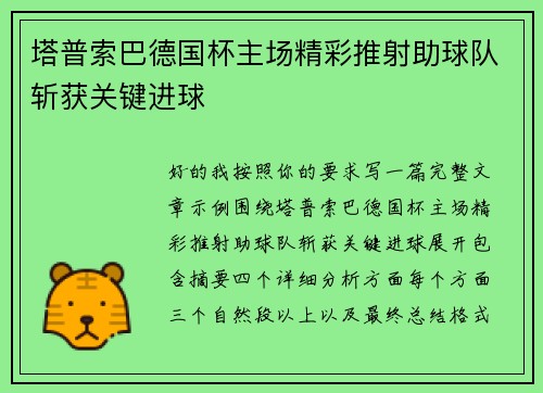 塔普索巴德国杯主场精彩推射助球队斩获关键进球